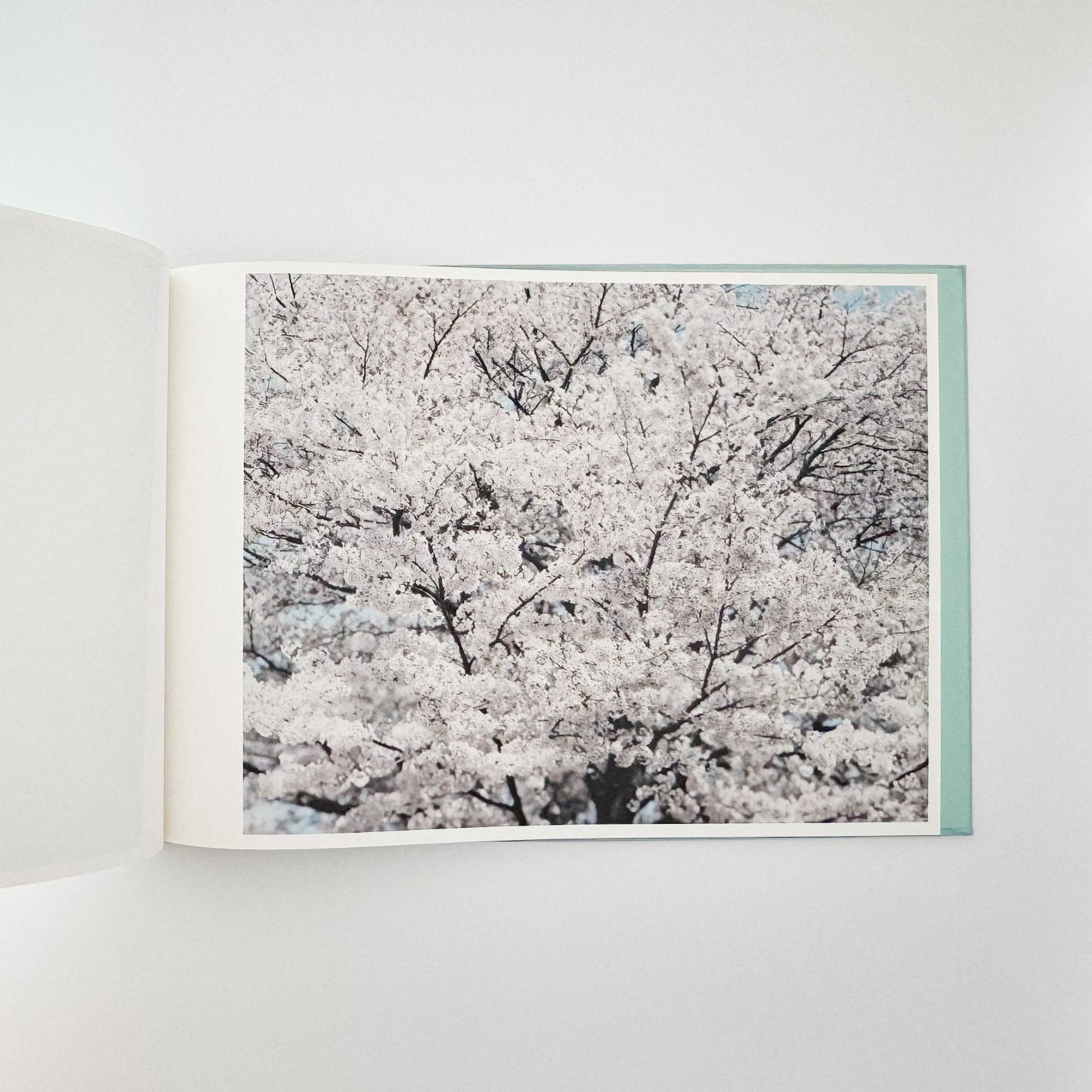 鈴木理策　海と山のあいだ Between the Sea and the Mountain – Kumano（サイン入り） - アマナサルト - 文福