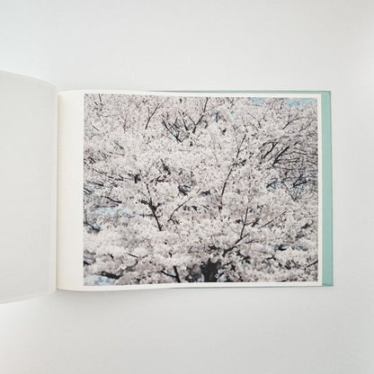 鈴木理策　海と山のあいだ Between the Sea and the Mountain – Kumano（サイン入り） - アマナサルト - 文福