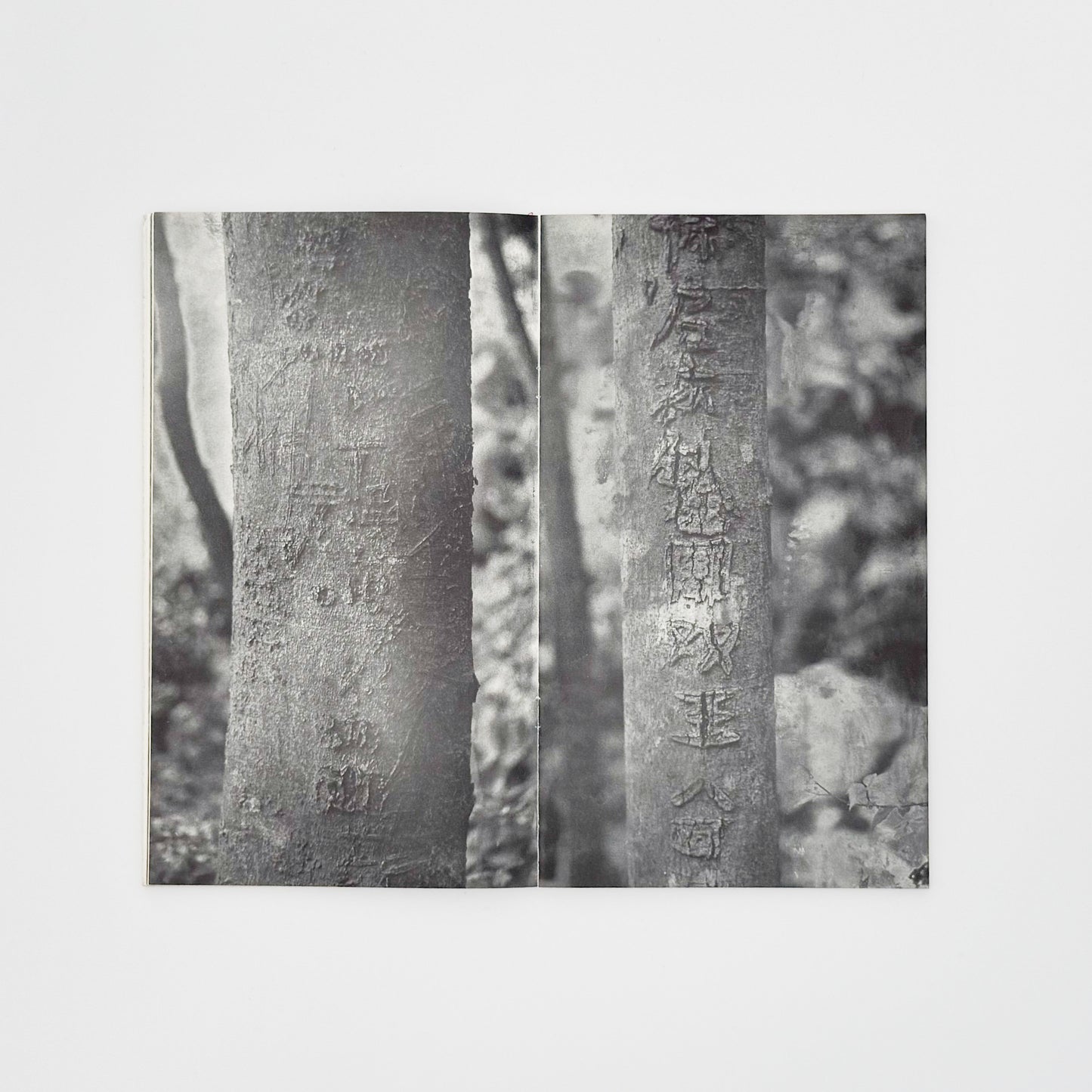 Dörte Eißfeldt（ドルテ・アイスフェルト） : Pol｜Nazraeli Press - 文福 BUNBUKU
