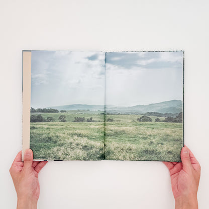 遠藤文香: ENDO Ayaka『Pneuma』roshin books刊行、遠野の馬と風景を撮影した写真集