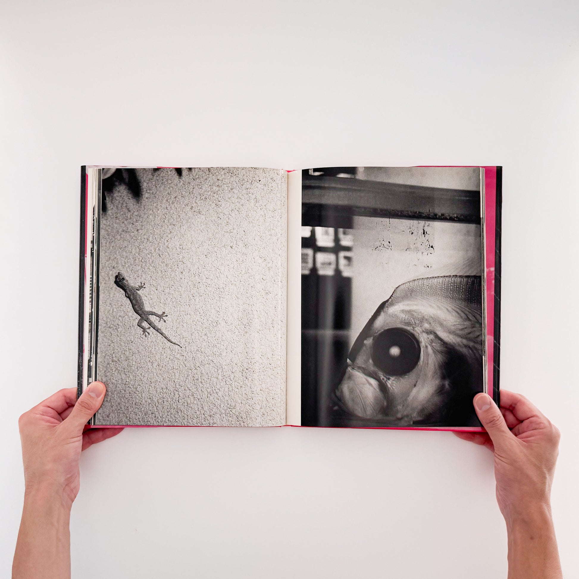 楢橋朝子『NU・E / NARAHASHI Asako PHOTOGRAPHS 1992-1997』蒼穹舎刊行、03FOTOSで発表された初期モノクローム作品を収録した写真集