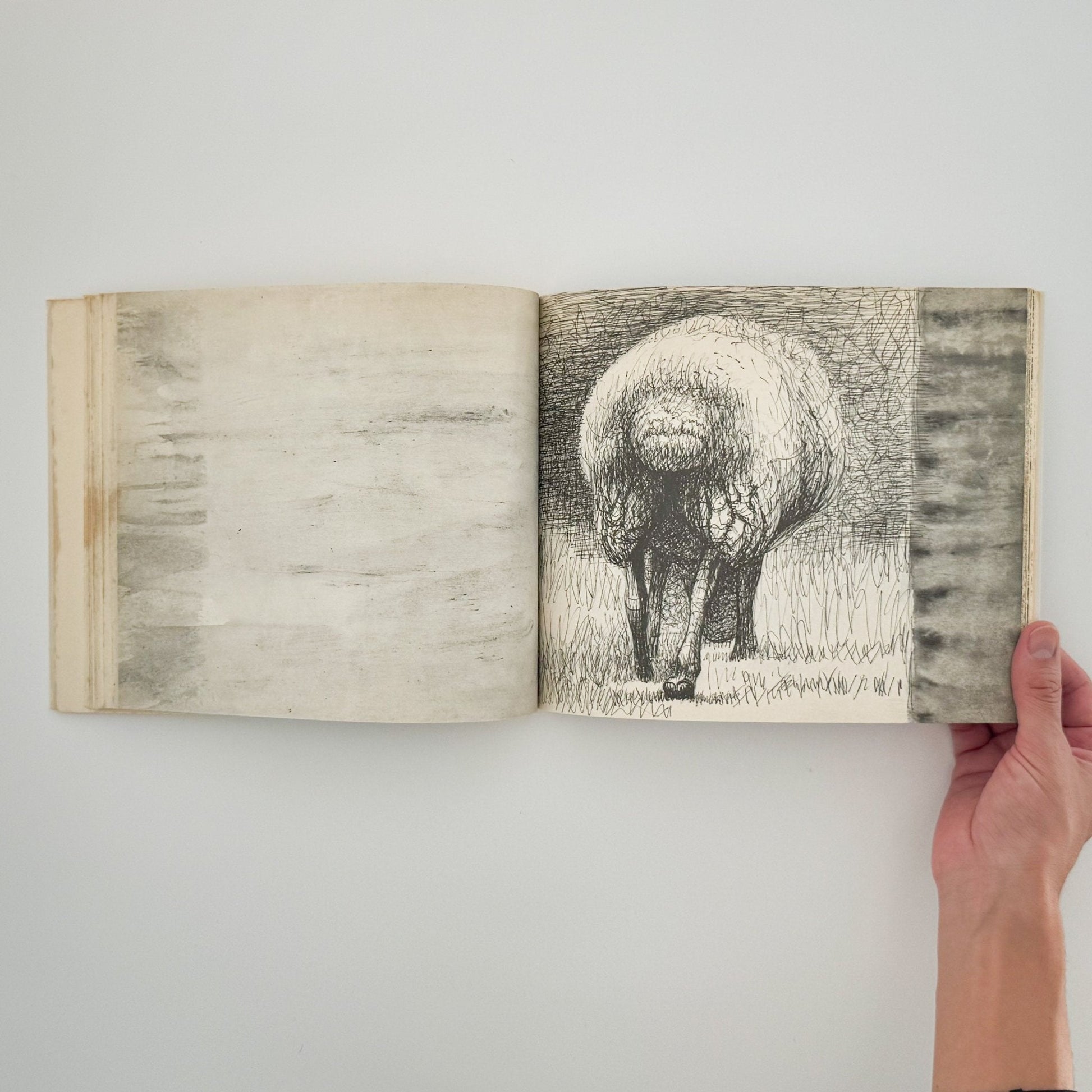 ヘンリー・ムーア　羊のスケッチブック Henry Moore's Sheep Sketchbook - 文福