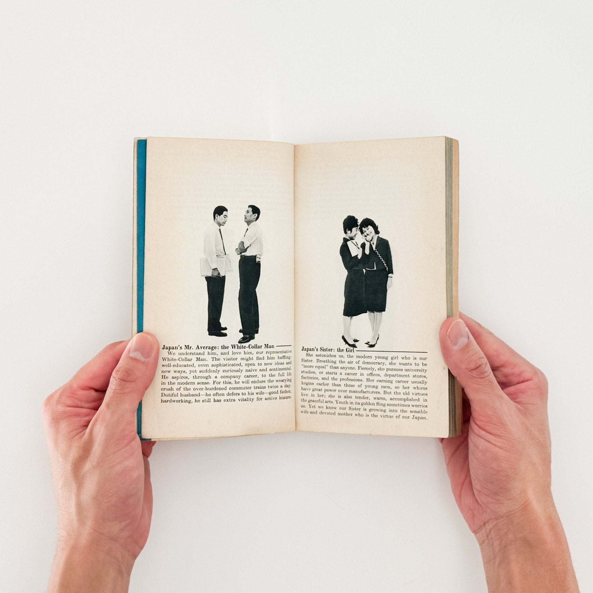 Here is JAPAN 2号 - 文福