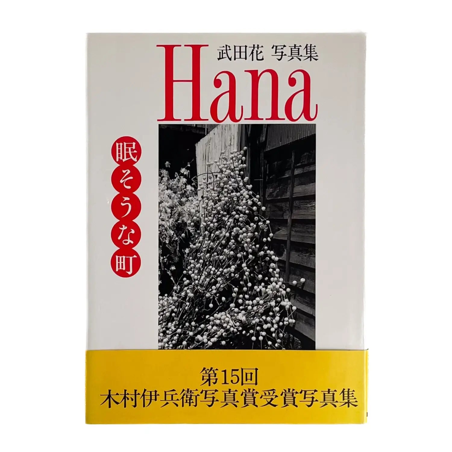 武田花　眠そうな町 アイピーシー