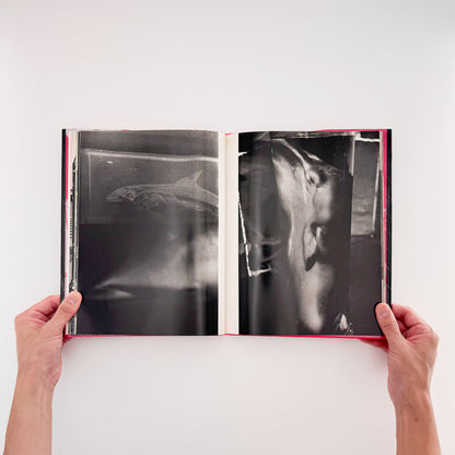 楢橋朝子『NU・E / NARAHASHI Asako PHOTOGRAPHS 1992-1997』蒼穹舎刊行、03FOTOSで発表された初期モノクローム作品を収録した写真集