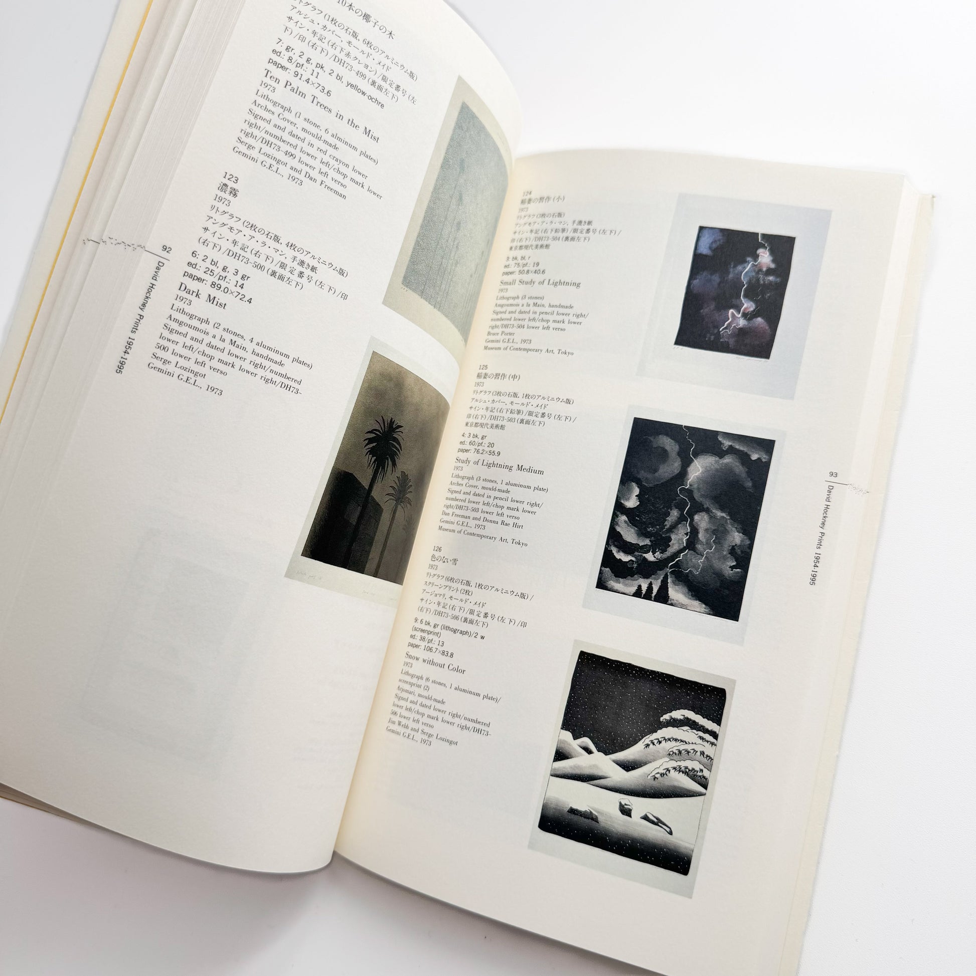 デイヴィッド・ホックニー版画 : 1954-1995 淡交社