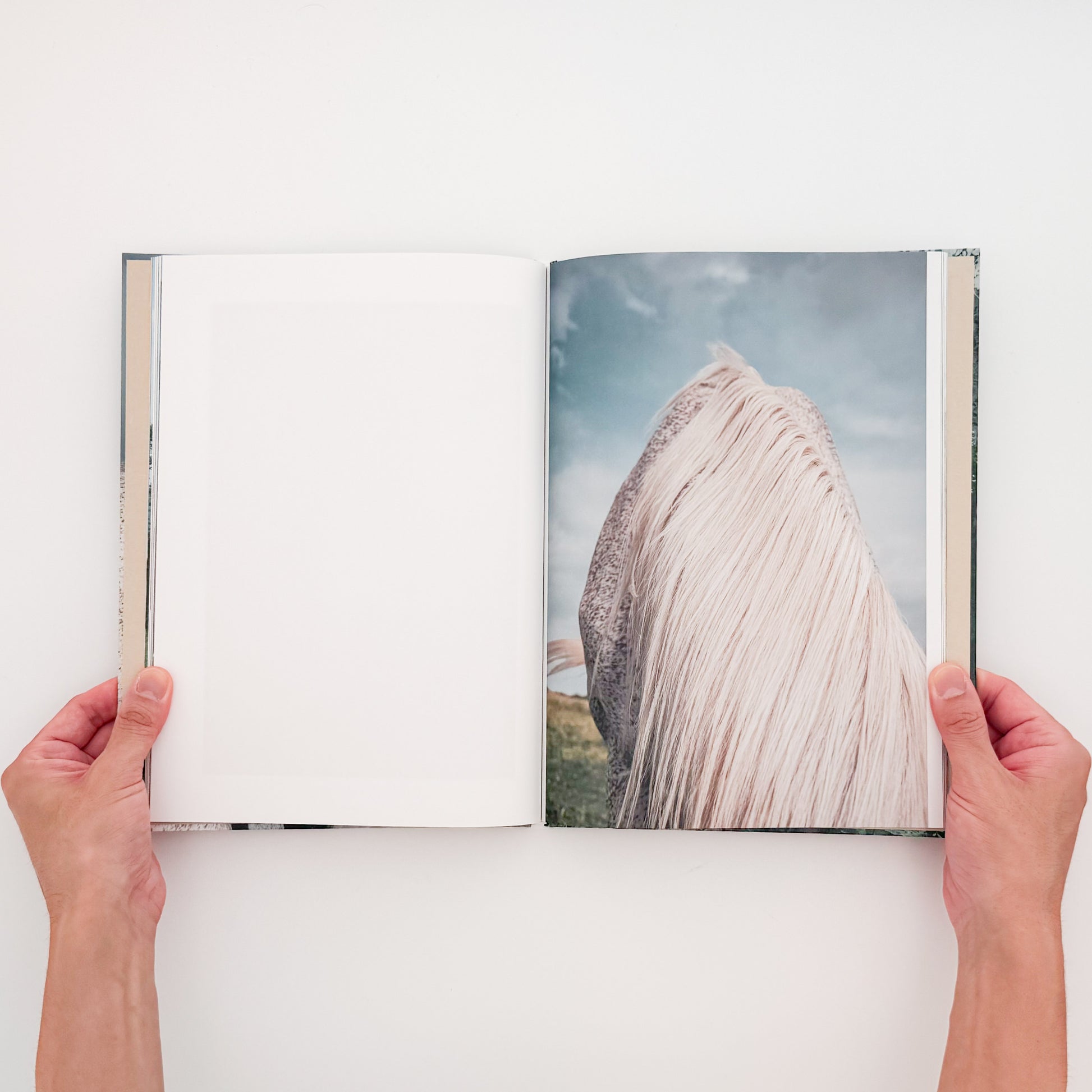 遠藤文香: ENDO Ayaka『Pneuma』roshin books刊行、遠野の馬と風景を撮影した写真集