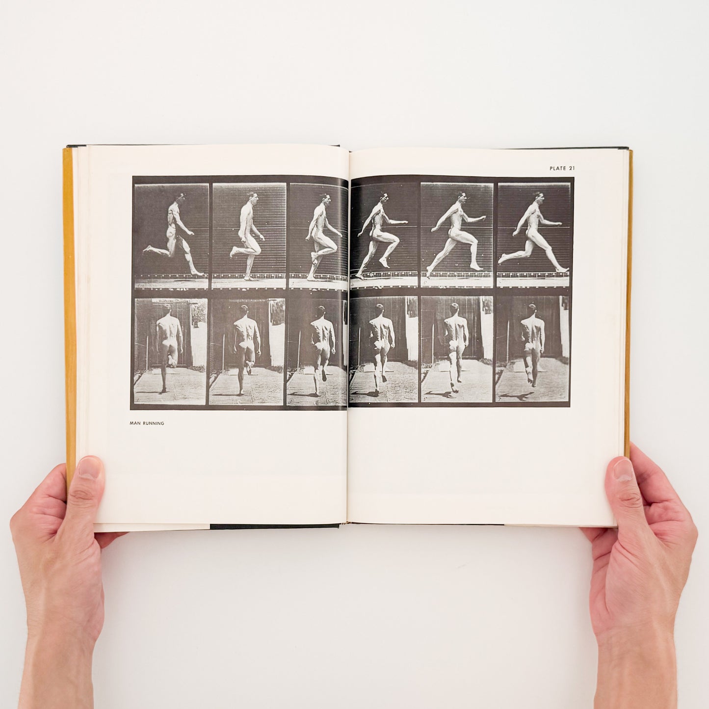 Eadweard Muybridge : Animals in Motion , The Human Figure in Motion｜DOVER - 文福