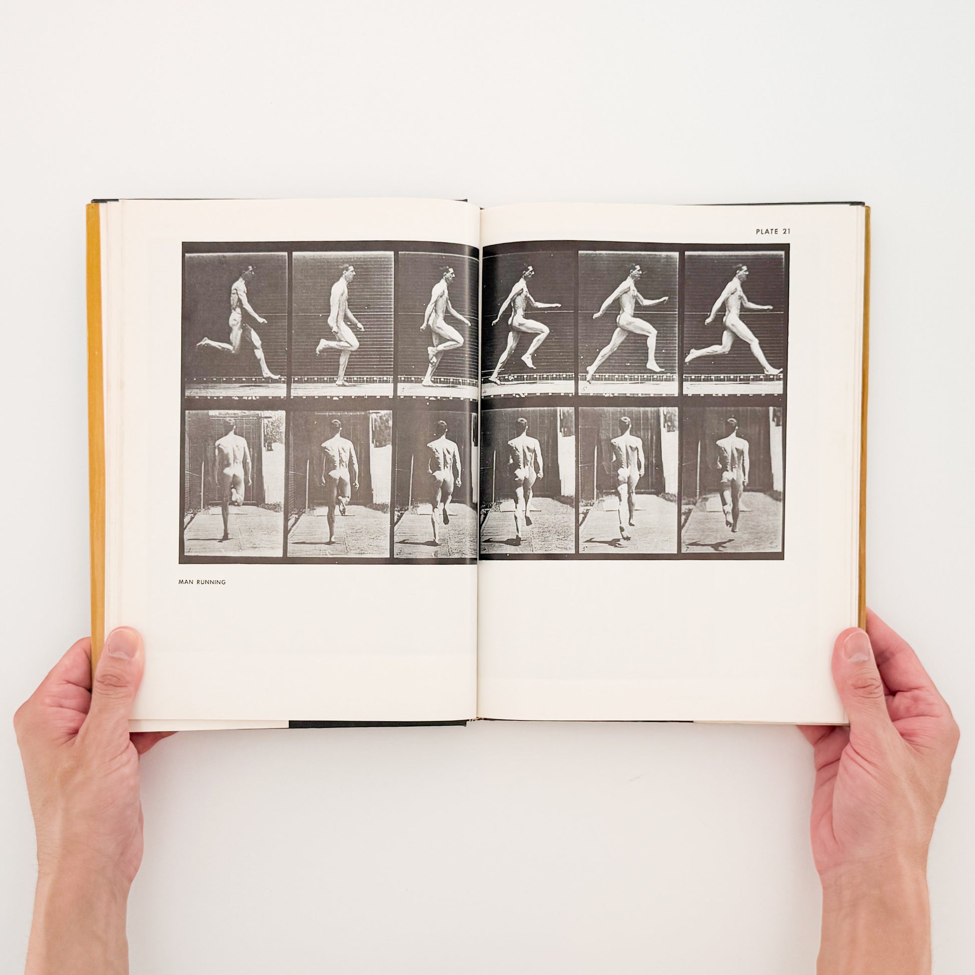 Eadweard Muybridge : Animals in Motion , The Human Figure in Motion｜DOVER - 文福