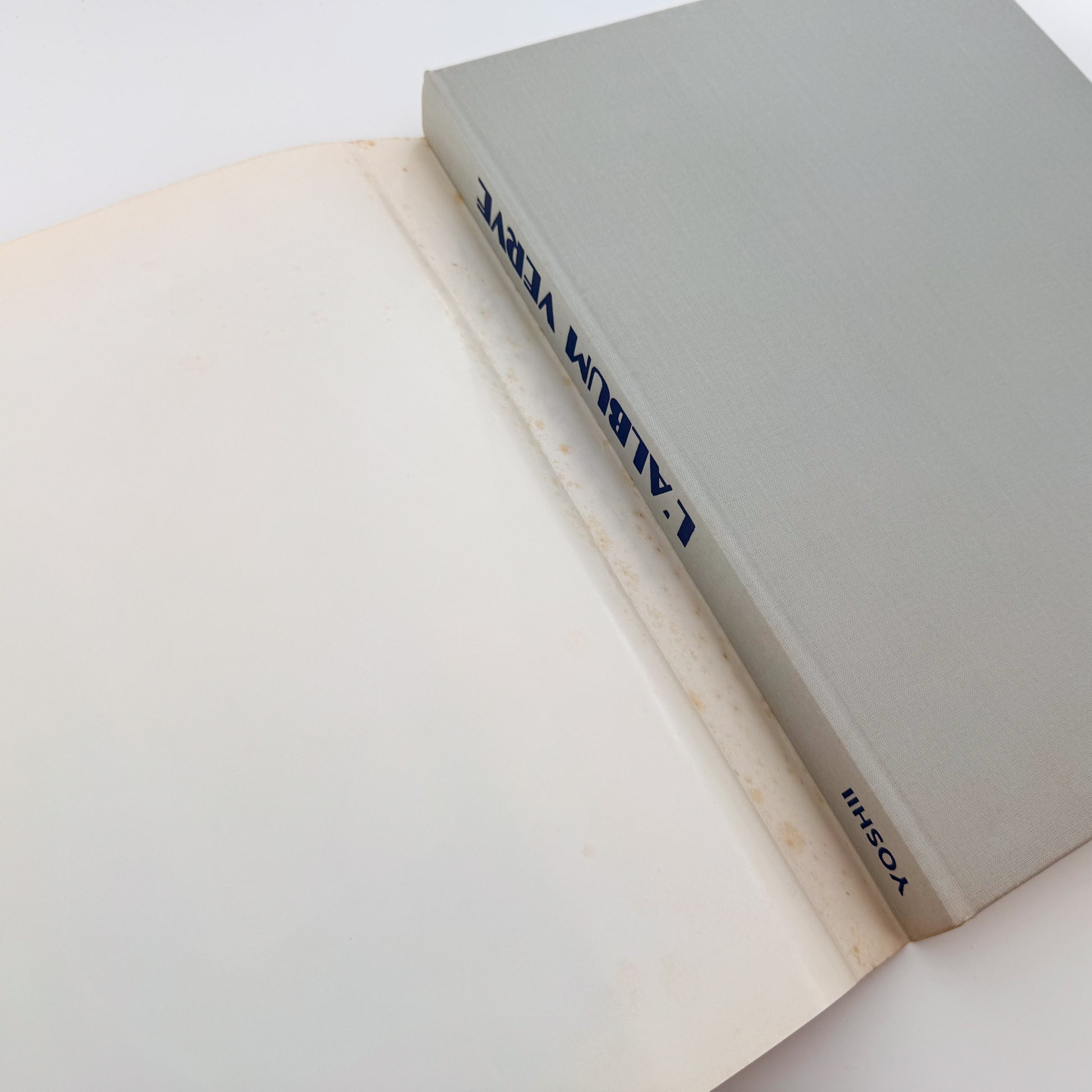 アルバム・ヴェルヴ Michel Anthonioz: L'Album Verve｜Editions Galerie Yoshii - 文福