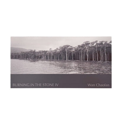 宛超凡 : Burning In The Stone IV｜Wan Publishing - 文福 BUNBUKU