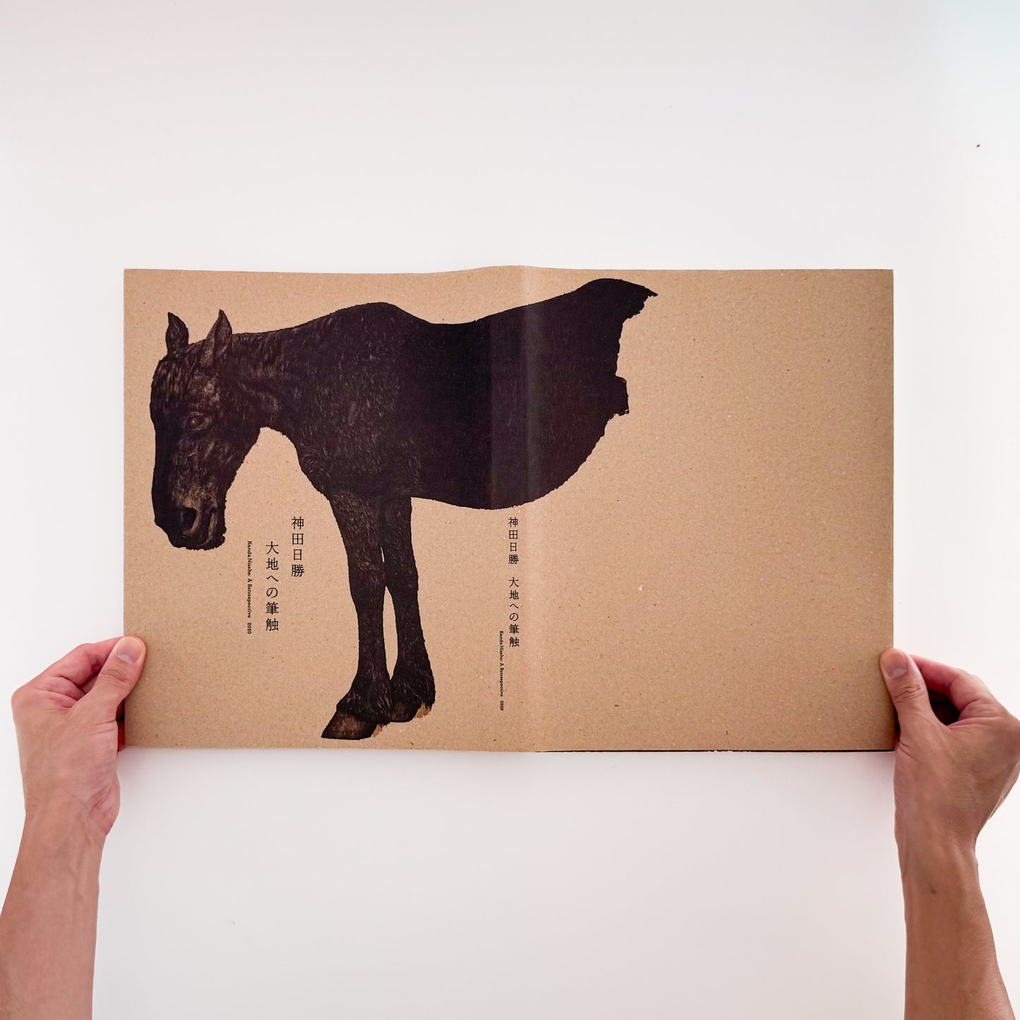 神田日勝: KANDA Nissho『大地への筆触』北海道新聞社刊行、没後50年記念回顧展の公式図録