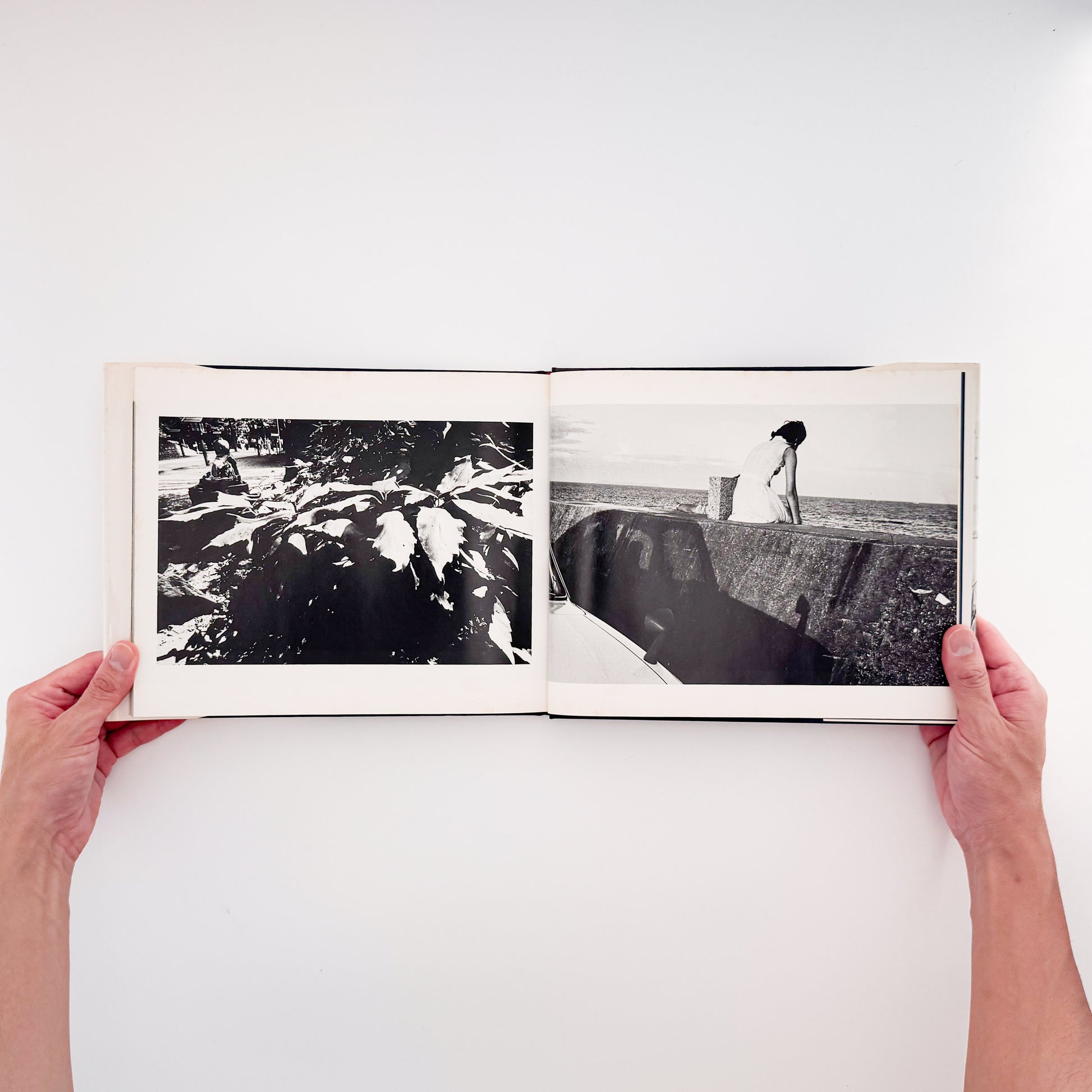 矢口保二: YAGUCHI Yasuji 『風』現代写真研究所刊行、徳島の写真家による没後刊行写真集