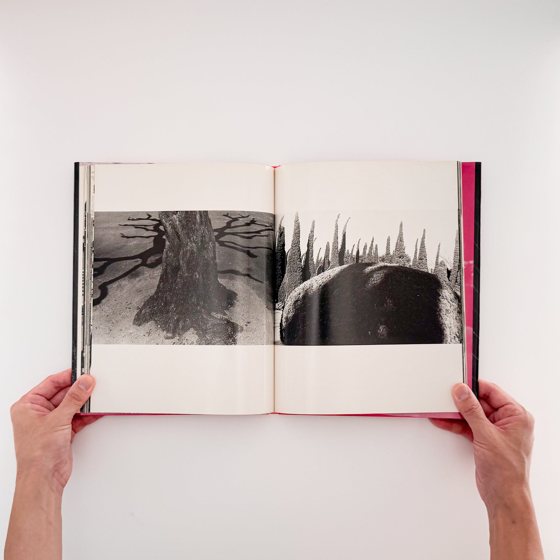 楢橋朝子『NU・E / NARAHASHI Asako PHOTOGRAPHS 1992-1997』蒼穹舎刊行、03FOTOSで発表された初期モノクローム作品を収録した写真集