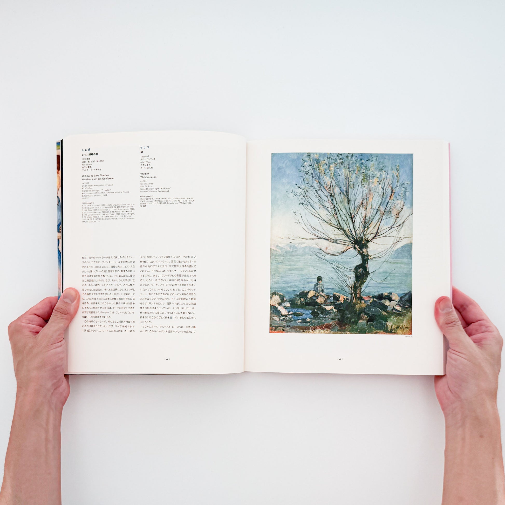 『フェルディナント・ホドラー展 / Ferdinand Hodler: Towards Rhythmic Images』NHK・NHKプロモーション刊行、日本・スイス国交樹立150周年記念の大規模回顧展図録