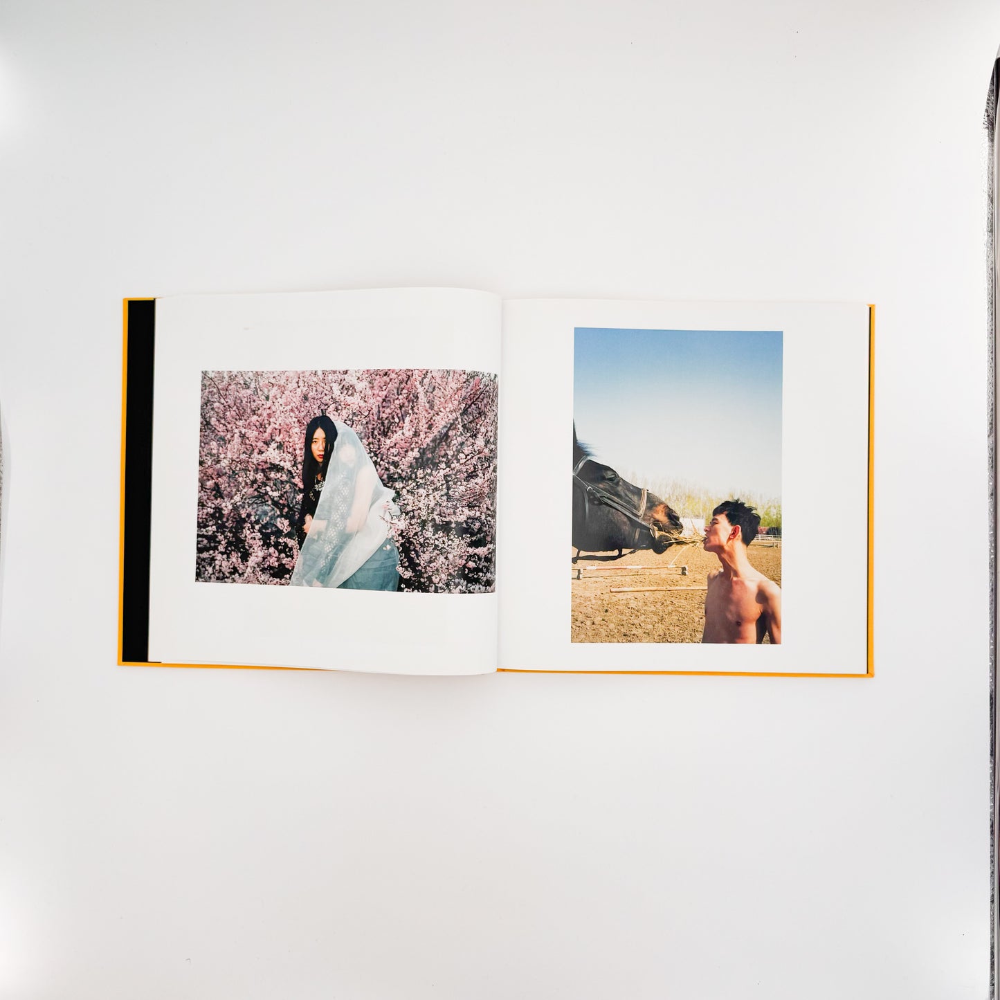 任航 : Ren Hang　Republic