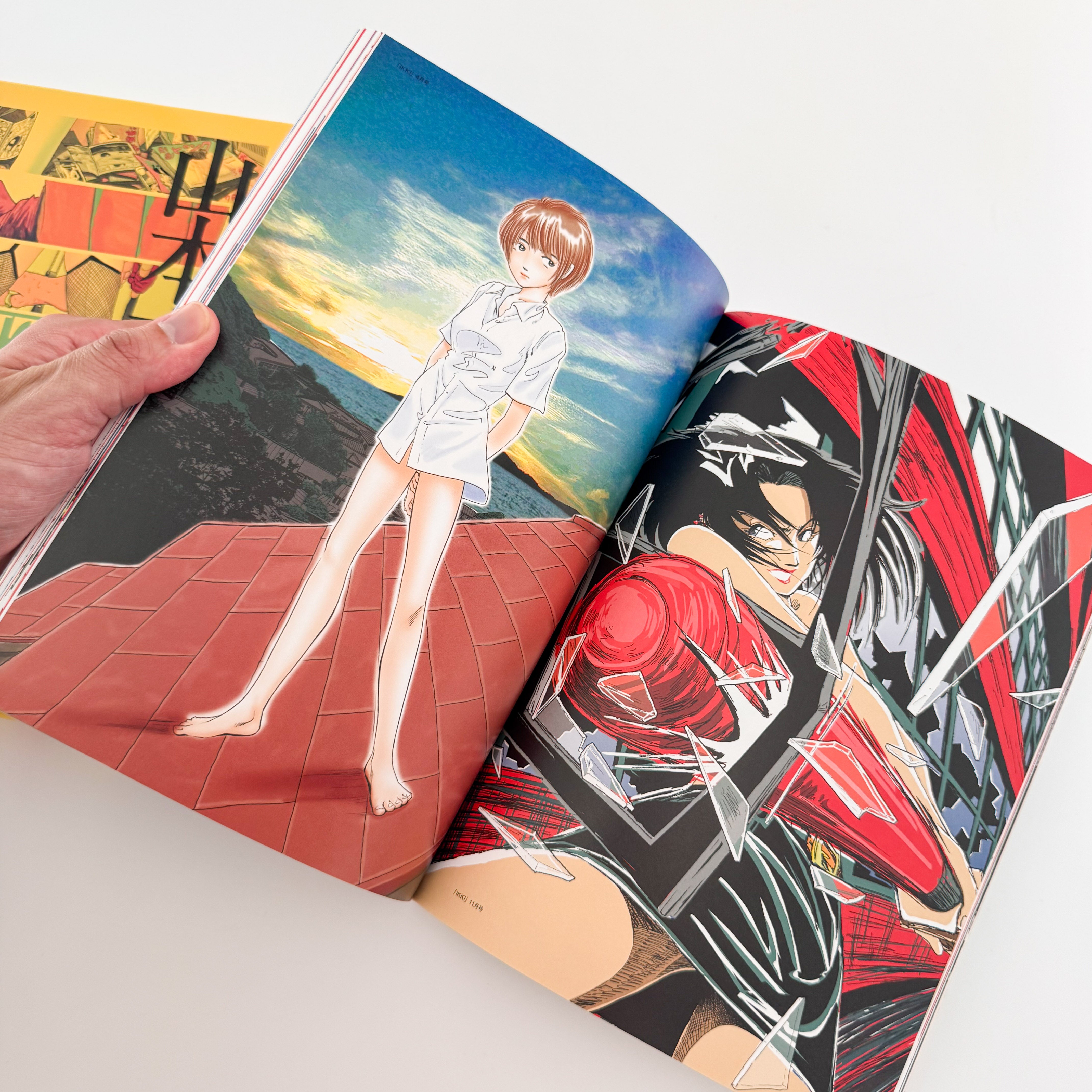 木下　義謙、月山、限定・豪華希少画集（レゾネ）、日本の名山 山本直樹画集 : White｜KADOKAWA - 文福 BUNBUKU