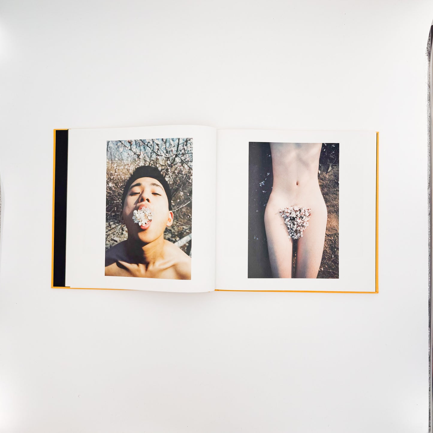 任航 : Ren Hang　Republic