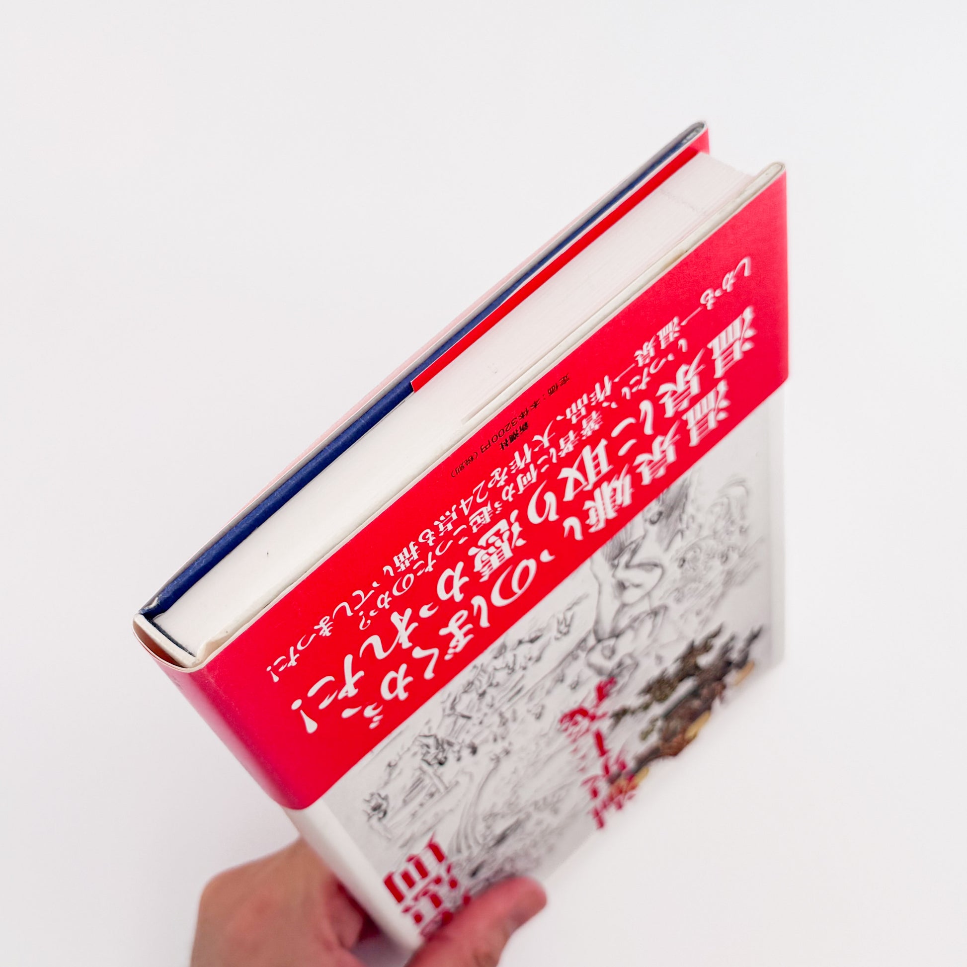 横尾忠則 : 温泉主義｜サイン入り 横尾忠則が全国各地の温泉を訪ね、その土地で得た体験や印象を文章と絵画でまとめた作品集。温泉地の風景と個人的な記憶を重ねた大作24点を収録。2008年新潮社刊。