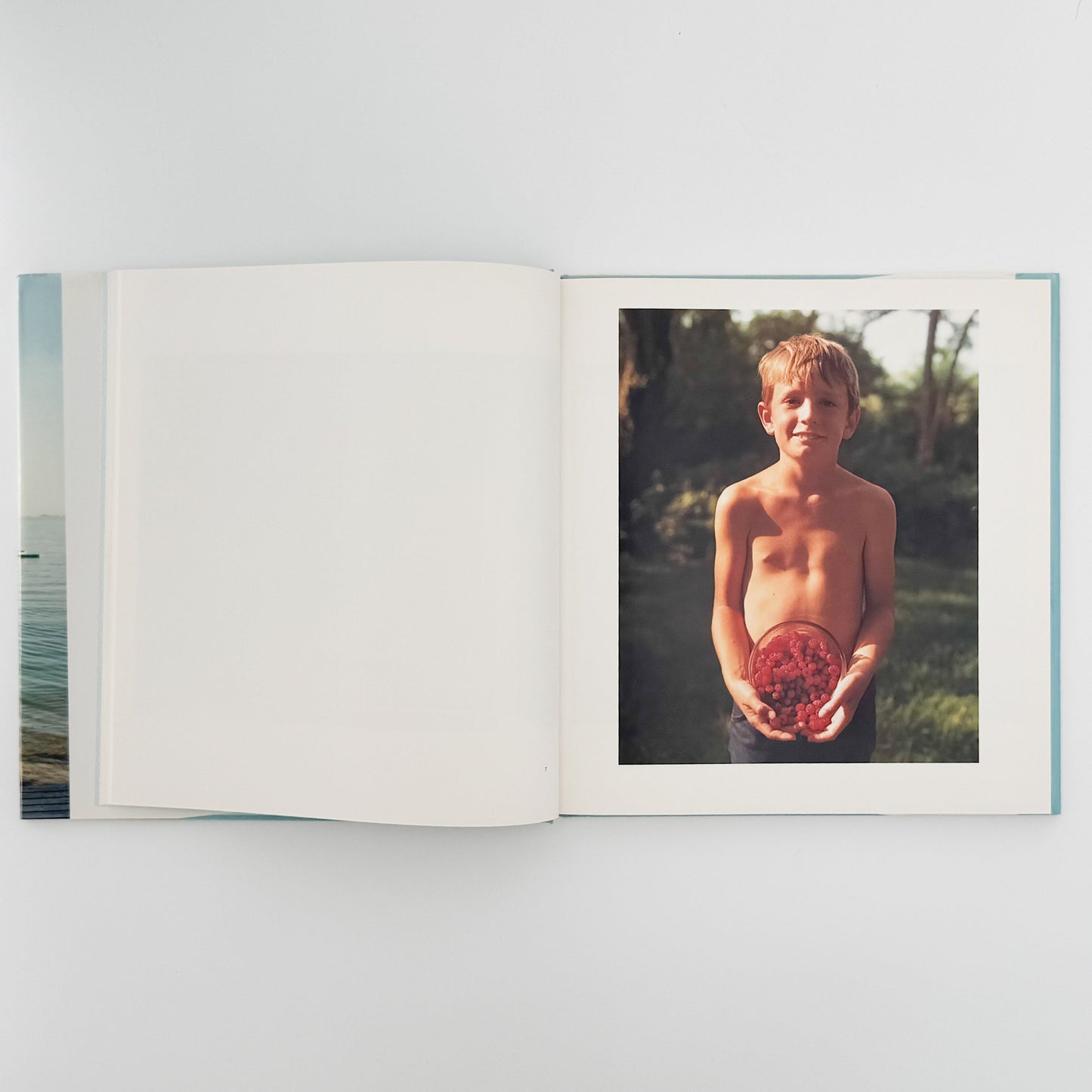 ジョエル・マイヤーウィッツ　A Summer’s Day（リブロポート版） リブロポート