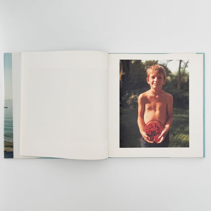 ジョエル・マイヤーウィッツ　A Summer’s Day（リブロポート版） リブロポート