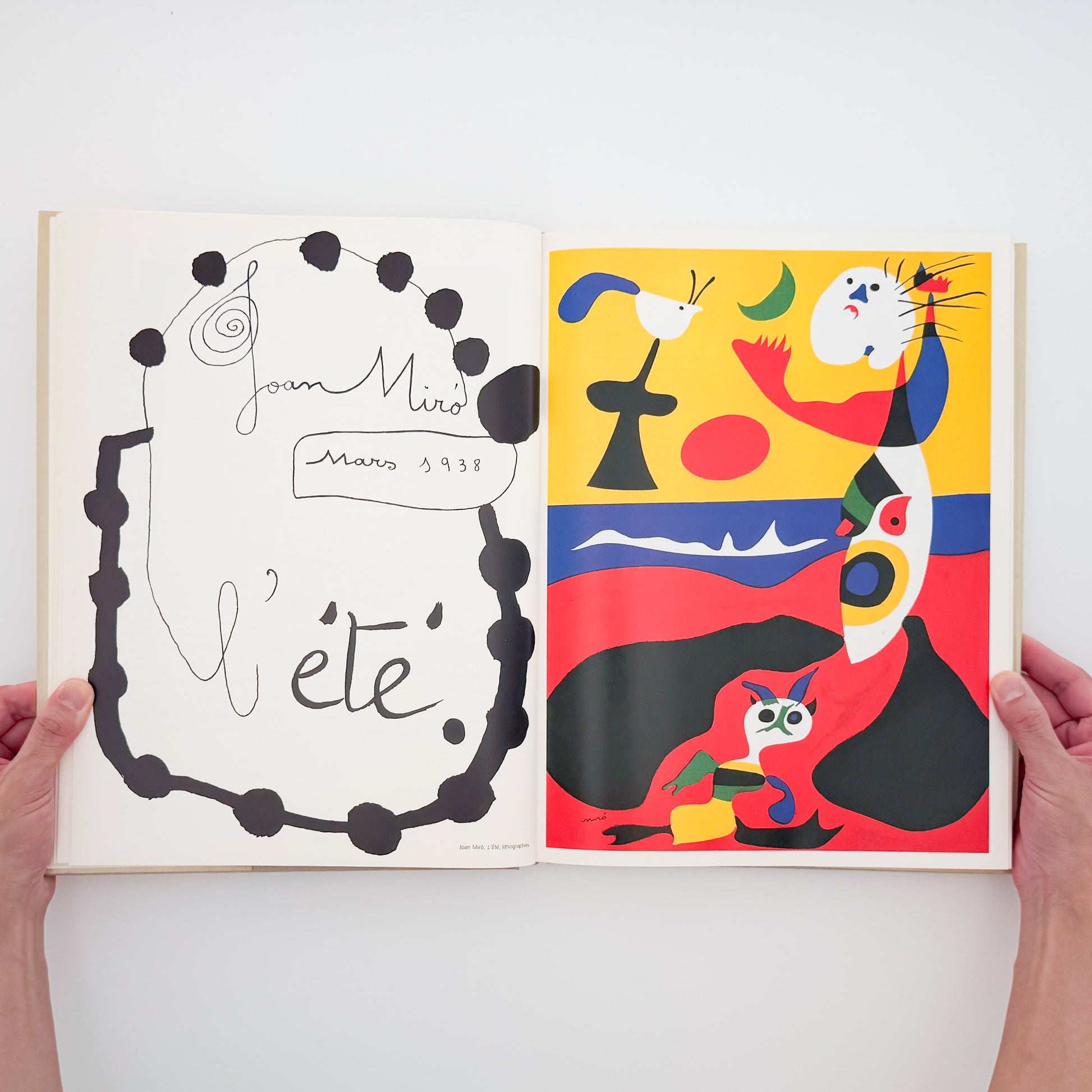 アルバム・ヴェルヴ Michel Anthonioz: L'Album Verve｜Editions Galerie Yoshii - 文福
