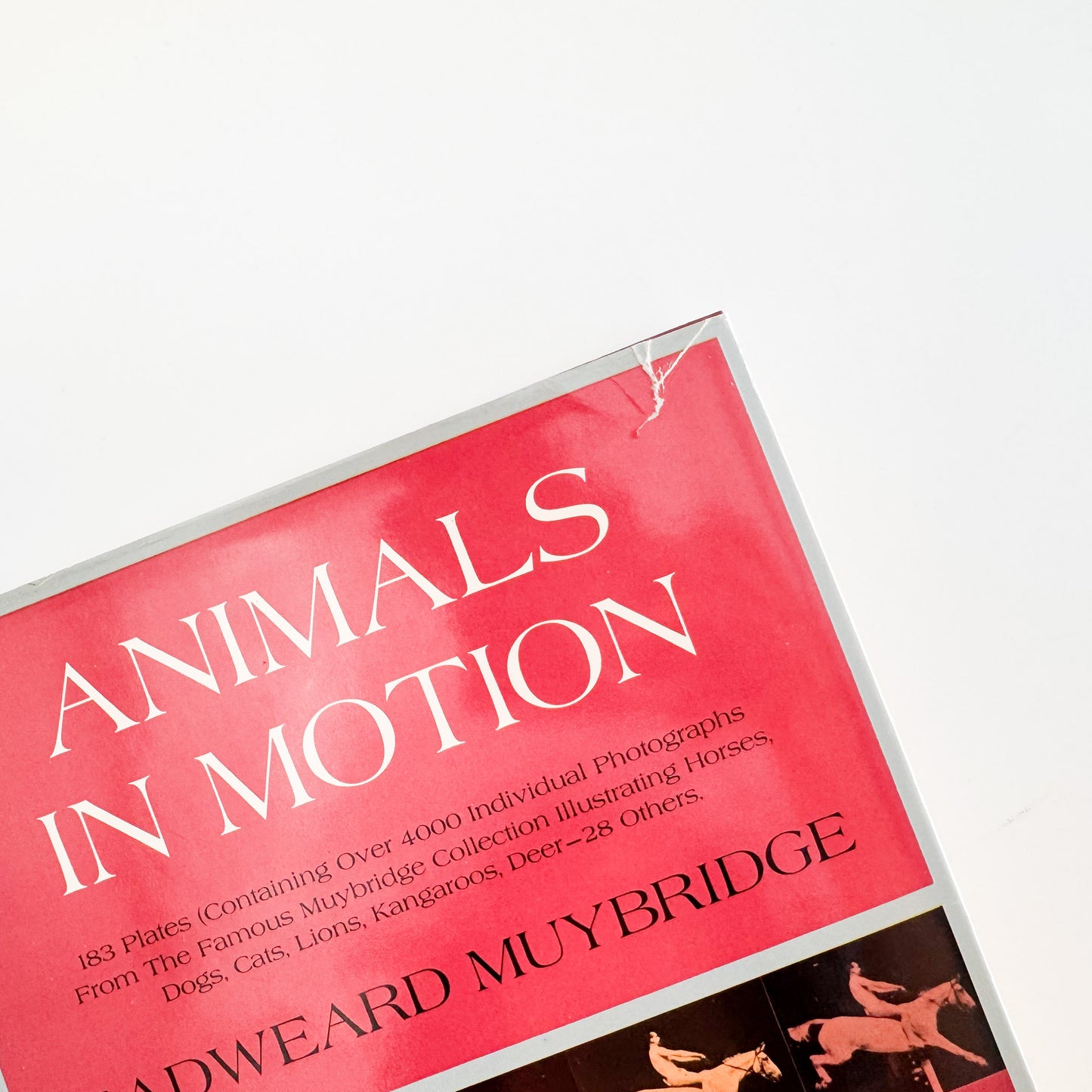 Eadweard Muybridge : Animals in Motion , The Human Figure in Motion｜DOVER - 文福
