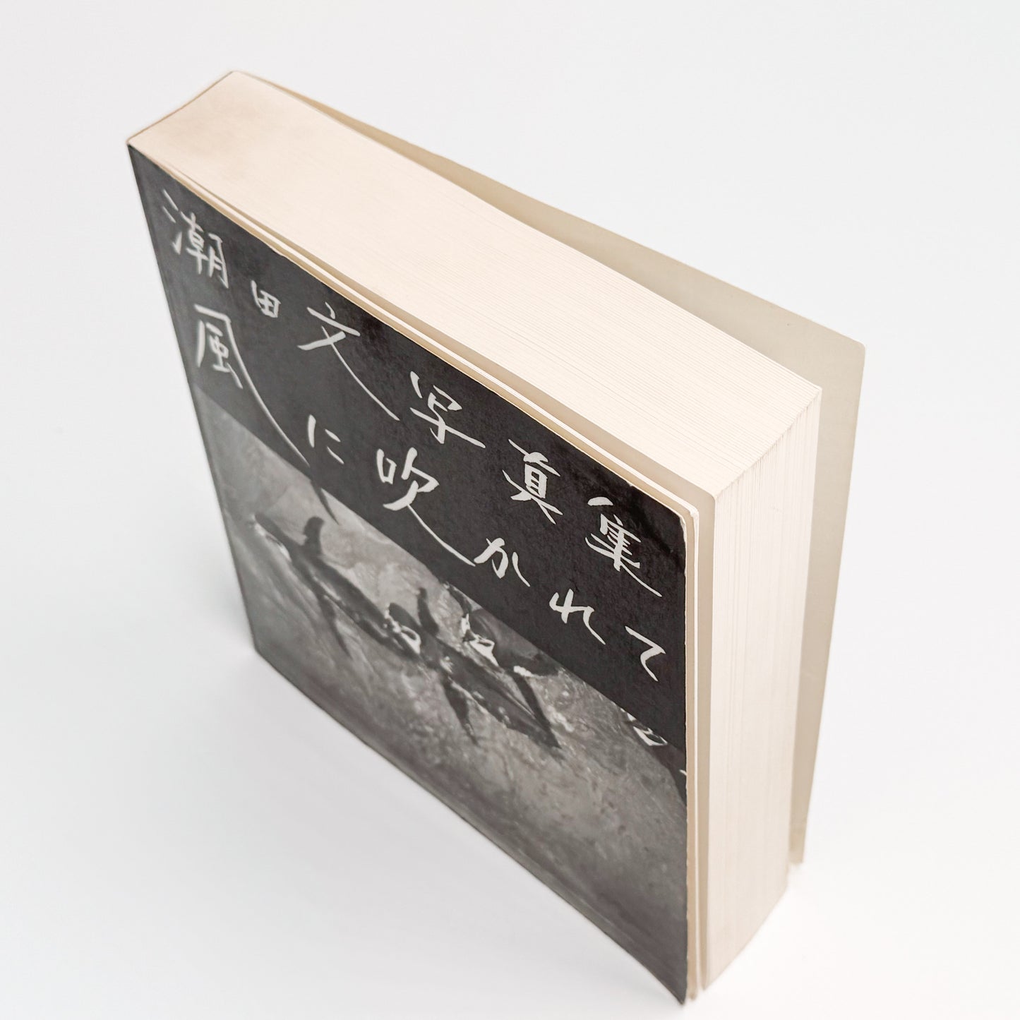 潮田文 : 風に吹かれて｜写真通信社 - 文福 BUNBUKU