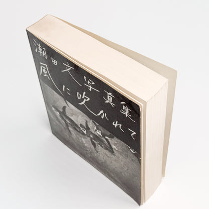 潮田文 : 風に吹かれて｜写真通信社 - 文福 BUNBUKU