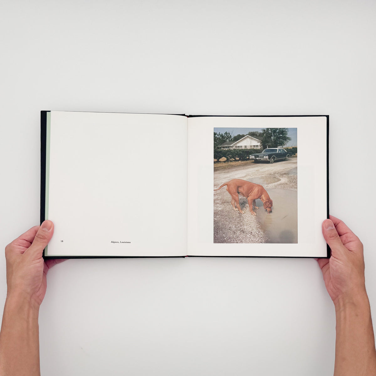 William Eggleston『William Eggleston's Guide』。1969年から1971年にメンフィス周辺で撮影したカラー写真48点を収録した、MoMA刊1976年版の2002年復刻版。
