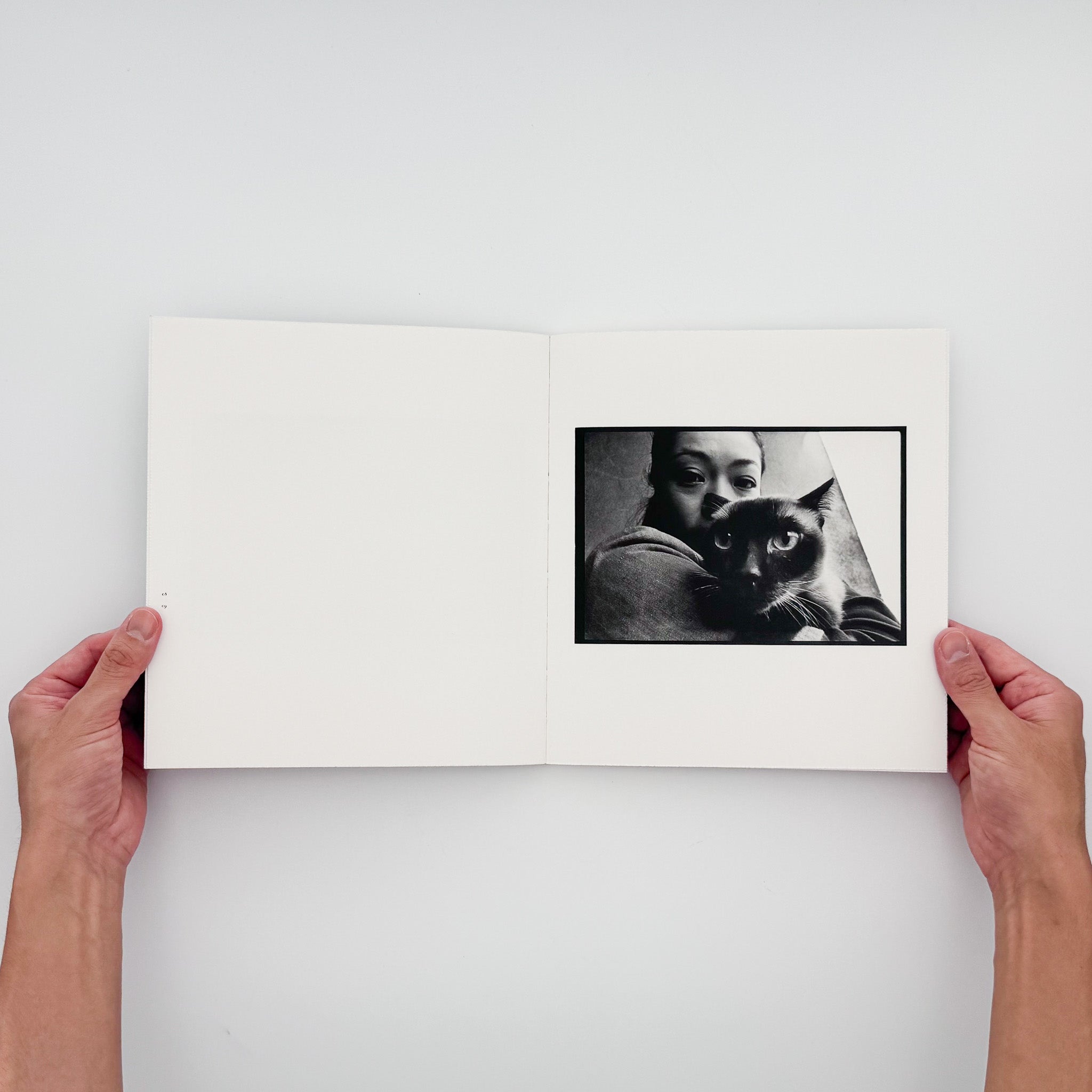 Masahisa Fukase: Wonderful Days｜Roshin Books 2015 Limited Edition
