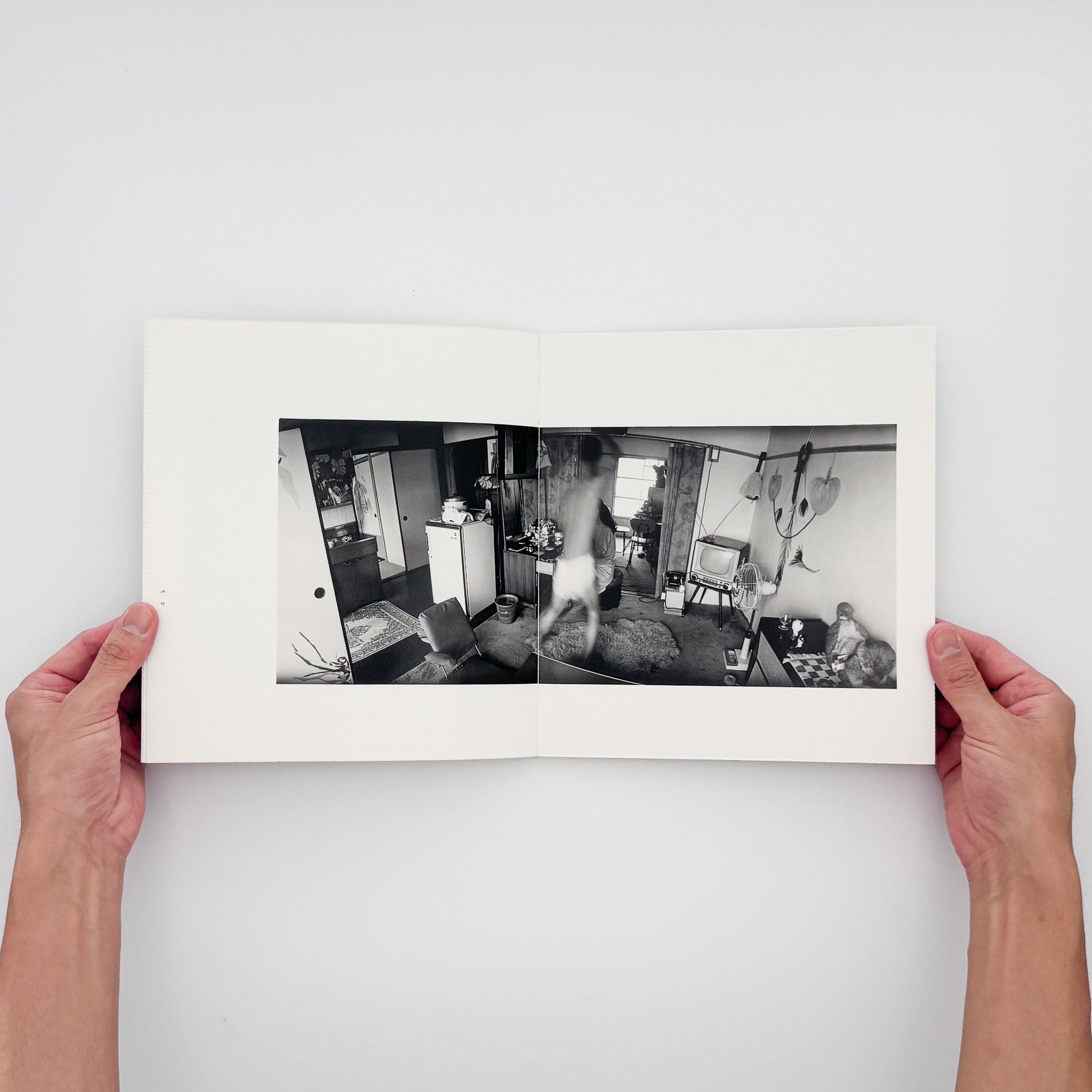 Masahisa Fukase: Wonderful Days｜Roshin Books 2015 Limited Edition