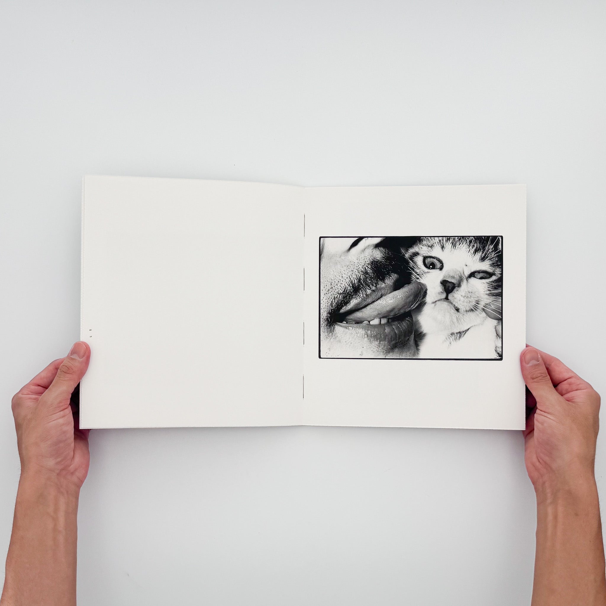 Masahisa Fukase: Wonderful Days｜Roshin Books 2015 Limited Edition