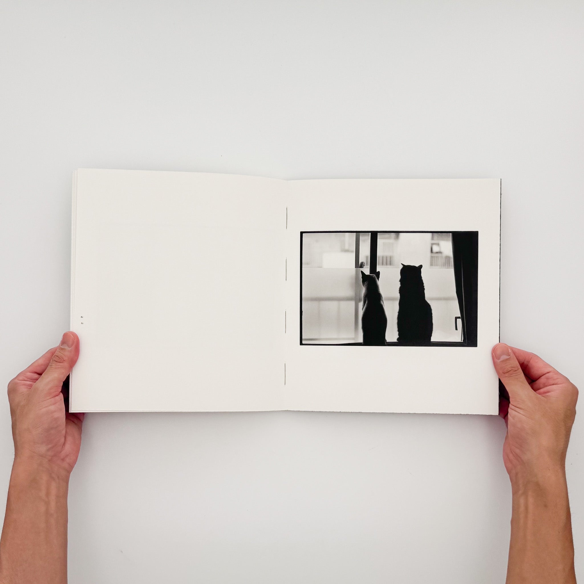 Masahisa Fukase: Wonderful Days｜Roshin Books 2015 Limited Edition