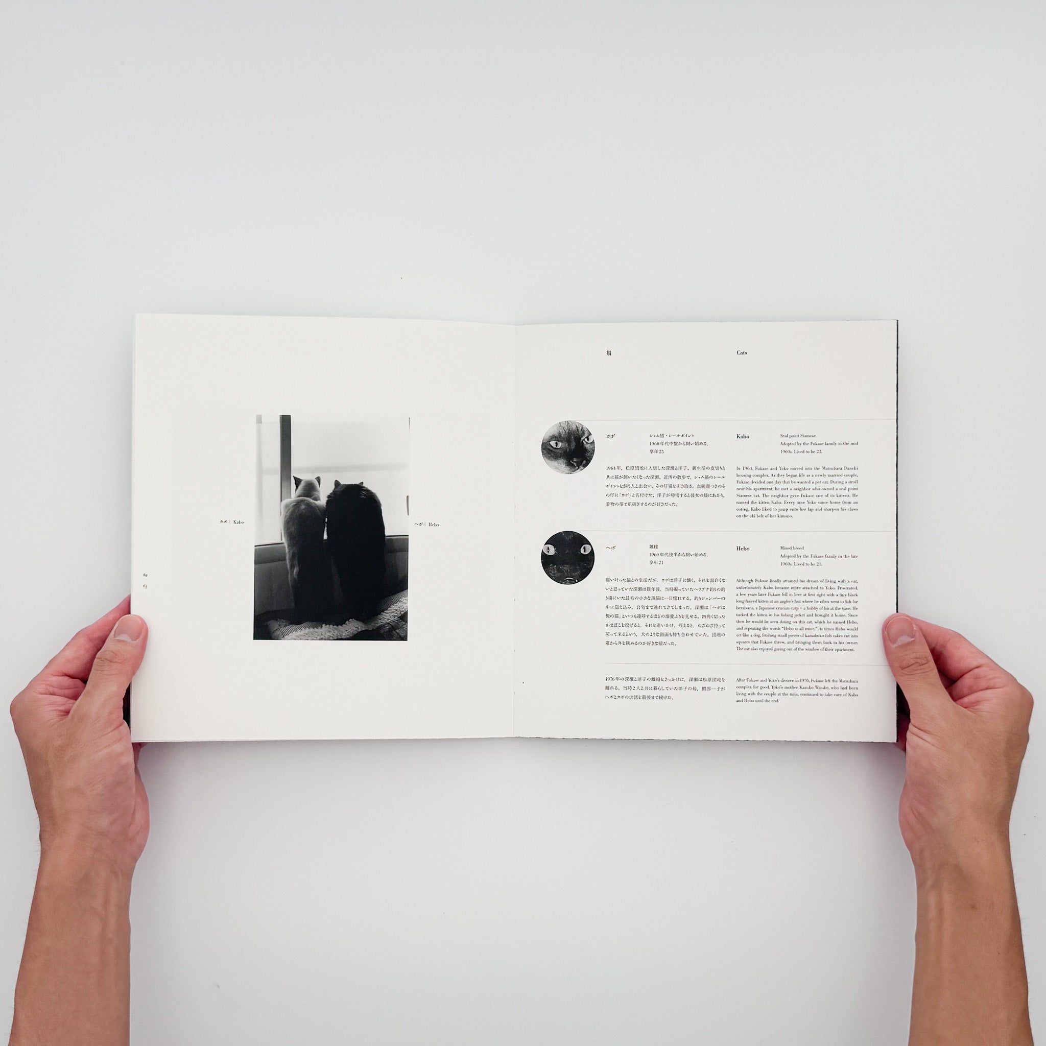 Masahisa Fukase: Wonderful Days｜Roshin Books 2015 Limited Edition