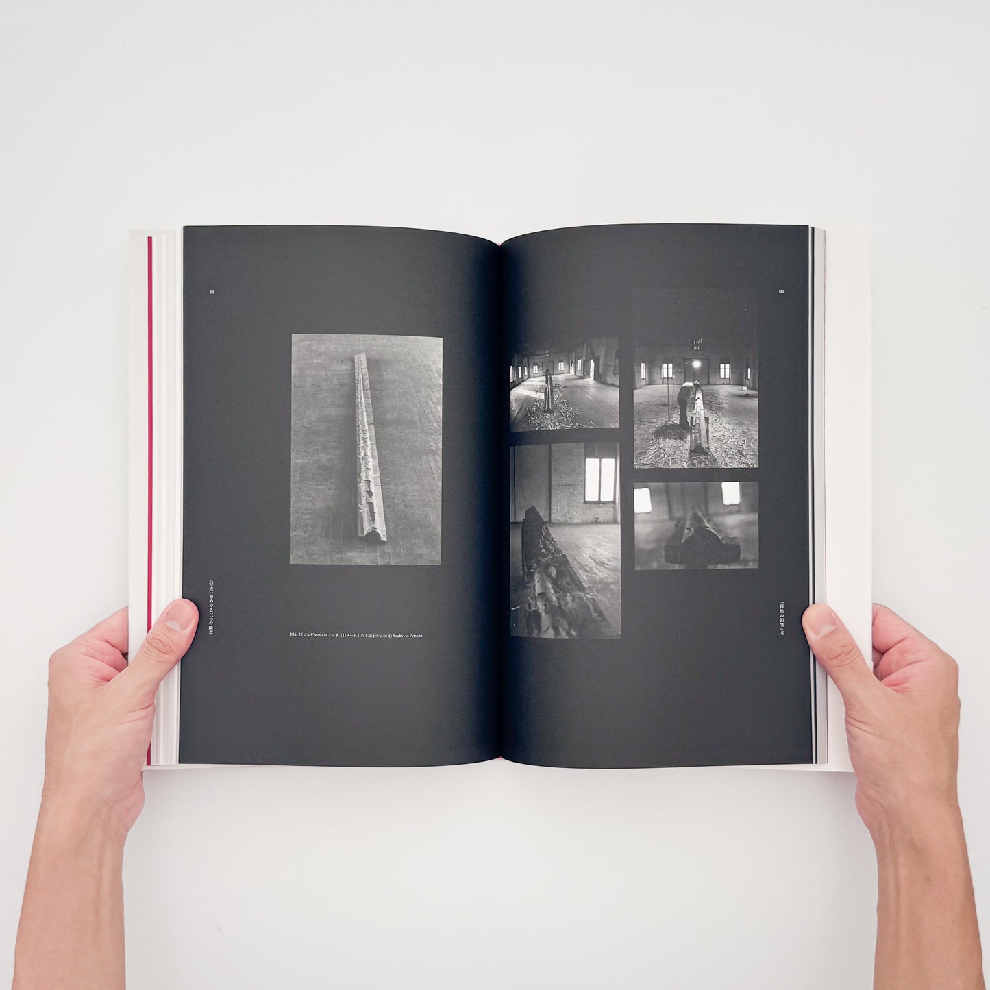 ウィリアム・ヘンリー・フォックス・トルボット『自然の鉛筆』。1844–46年刊の写真集を全訳し、24点の写真図版と論考を収録した2016年赤々舎刊日本語版。