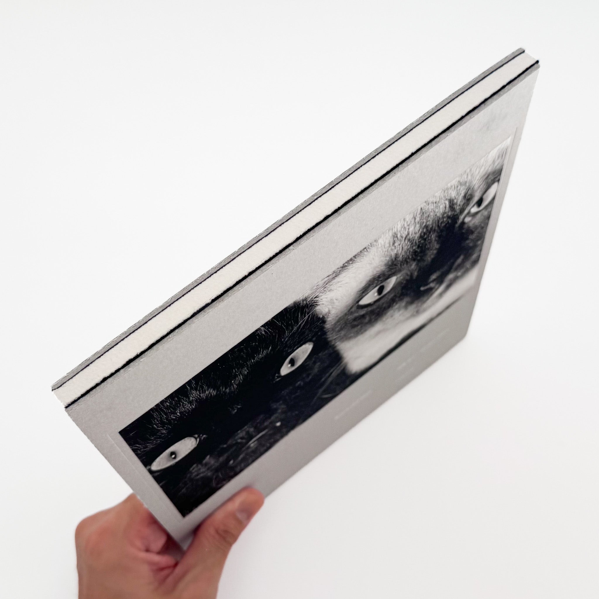 Masahisa Fukase: Wonderful Days｜Roshin Books 2015 Limited Edition