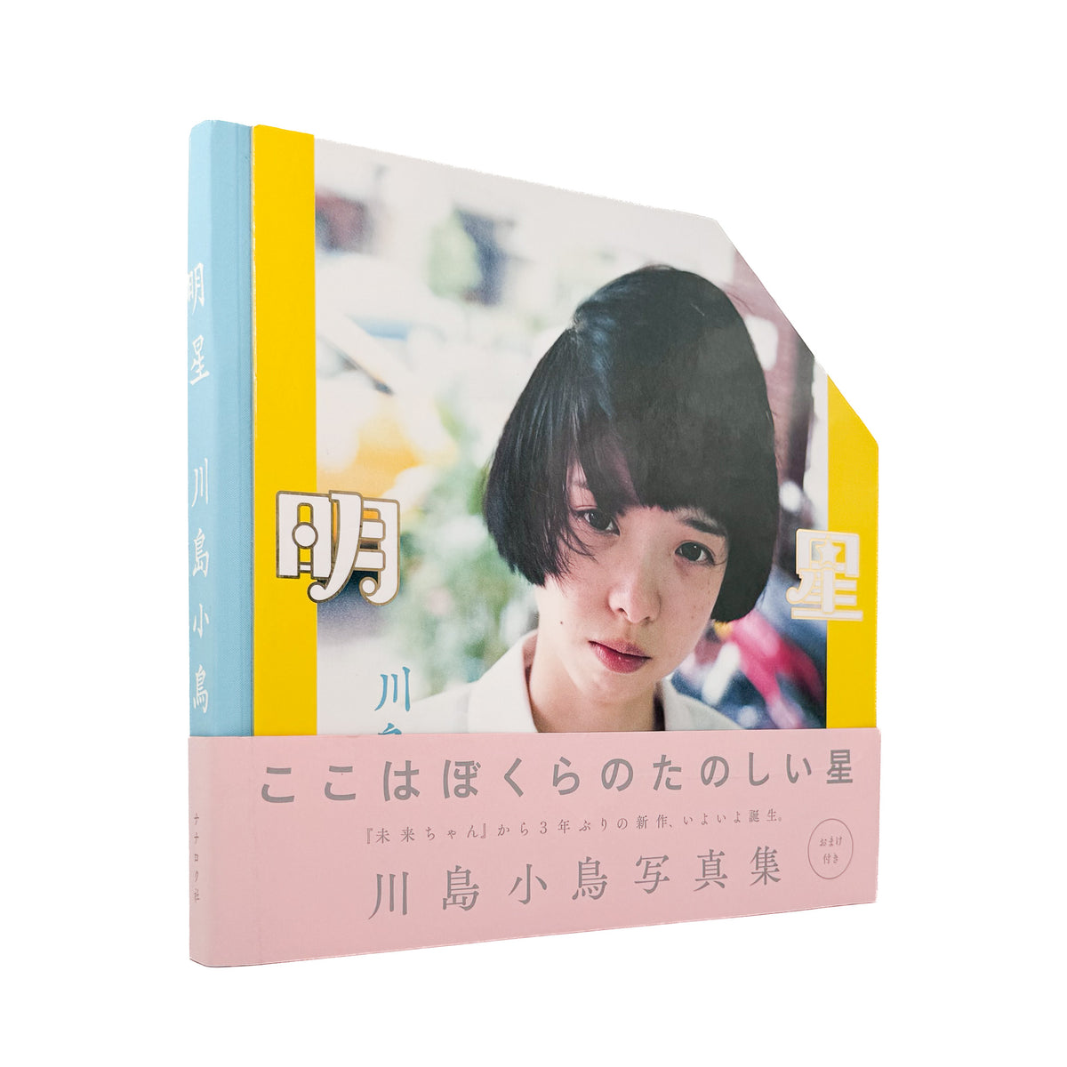 川島小鳥『明星』。2011年から3年間、30回以上台湾を訪れて撮影した写真を収録し、第40回木村伊兵衛写真賞を受賞した2014年ナナロク社刊の写真集。