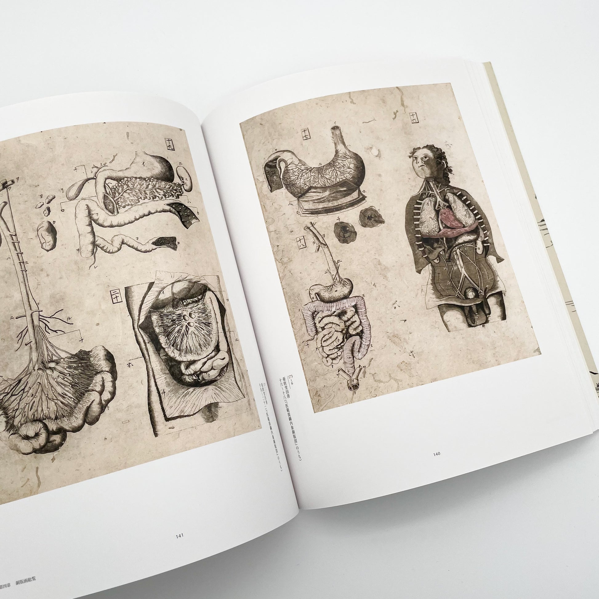 没後200年 亜欧堂田善 江戸の洋風画家・創造の軌跡 (展覧会図録)