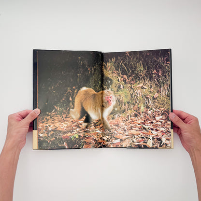 宮崎学『けもの道 Animal Paths』。中央アルプスの山中に自動撮影装置を設置し、野生動物の営みを記録した1979年共立出版刊・初版写真集。