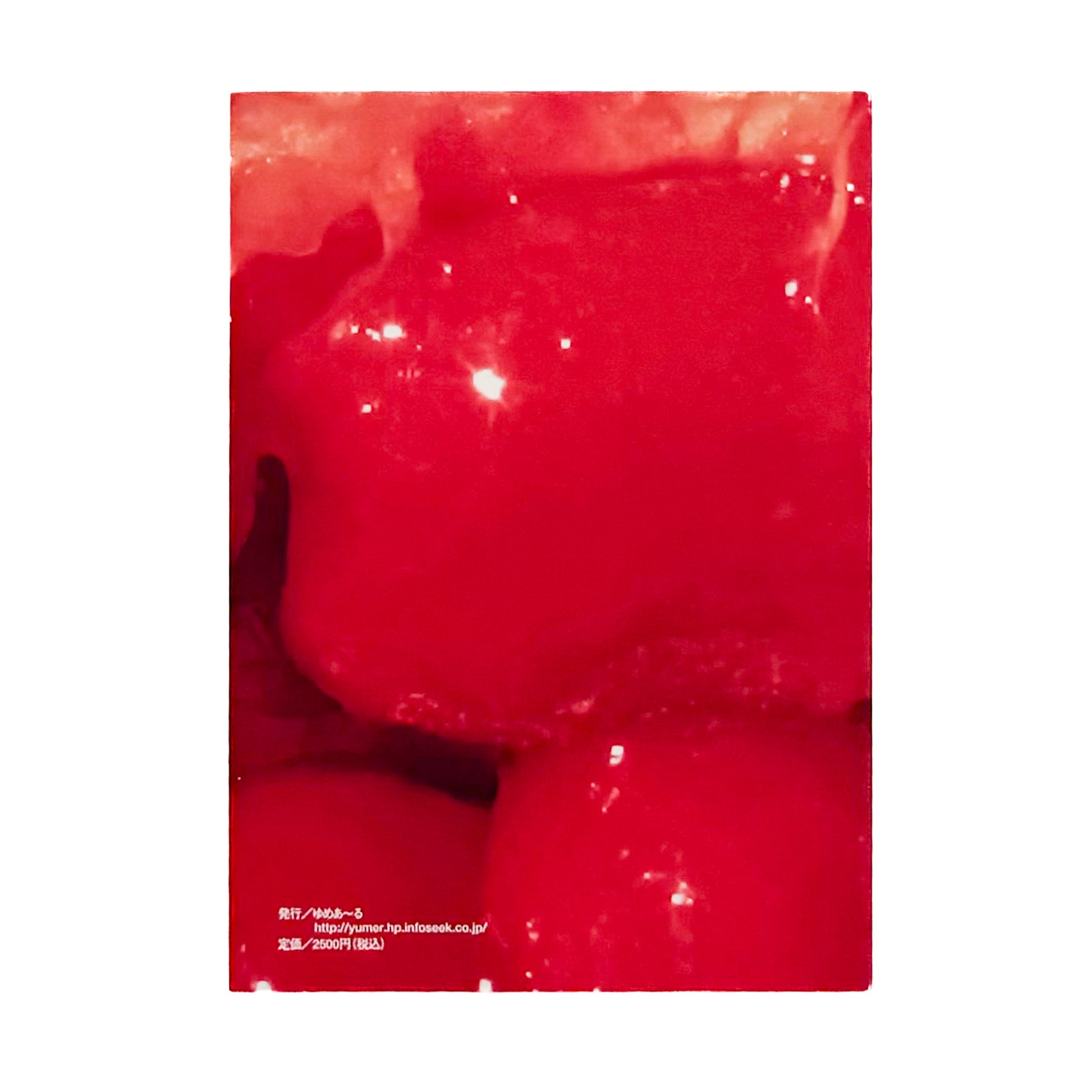 比嘉豊光『赤いゴーヤー』。1970〜1972年、沖縄復帰前後の風景を移動するバスや車から撮影した初期作品をまとめた2004年刊の写真集。