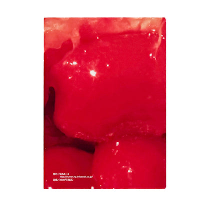 比嘉豊光『赤いゴーヤー』。1970〜1972年、沖縄復帰前後の風景を移動するバスや車から撮影した初期作品をまとめた2004年刊の写真集。