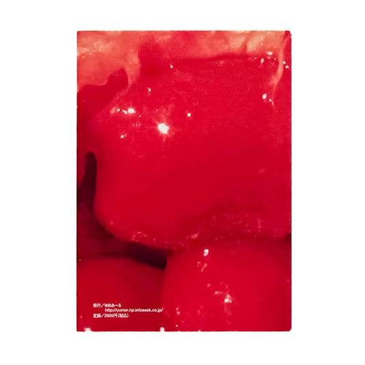 比嘉豊光『赤いゴーヤー』。1970〜1972年、沖縄復帰前後の風景を移動するバスや車から撮影した初期作品をまとめた2004年刊の写真集。