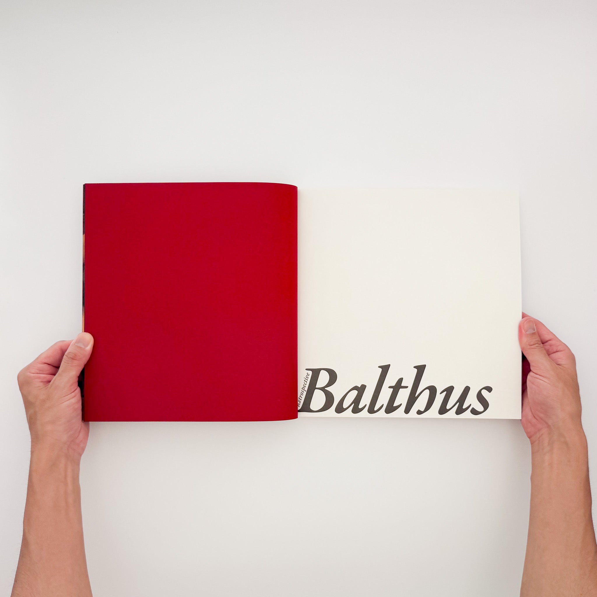 バルテュス展 Balthus: A Retrospective｜東京都美術館 2014 図録 - 文