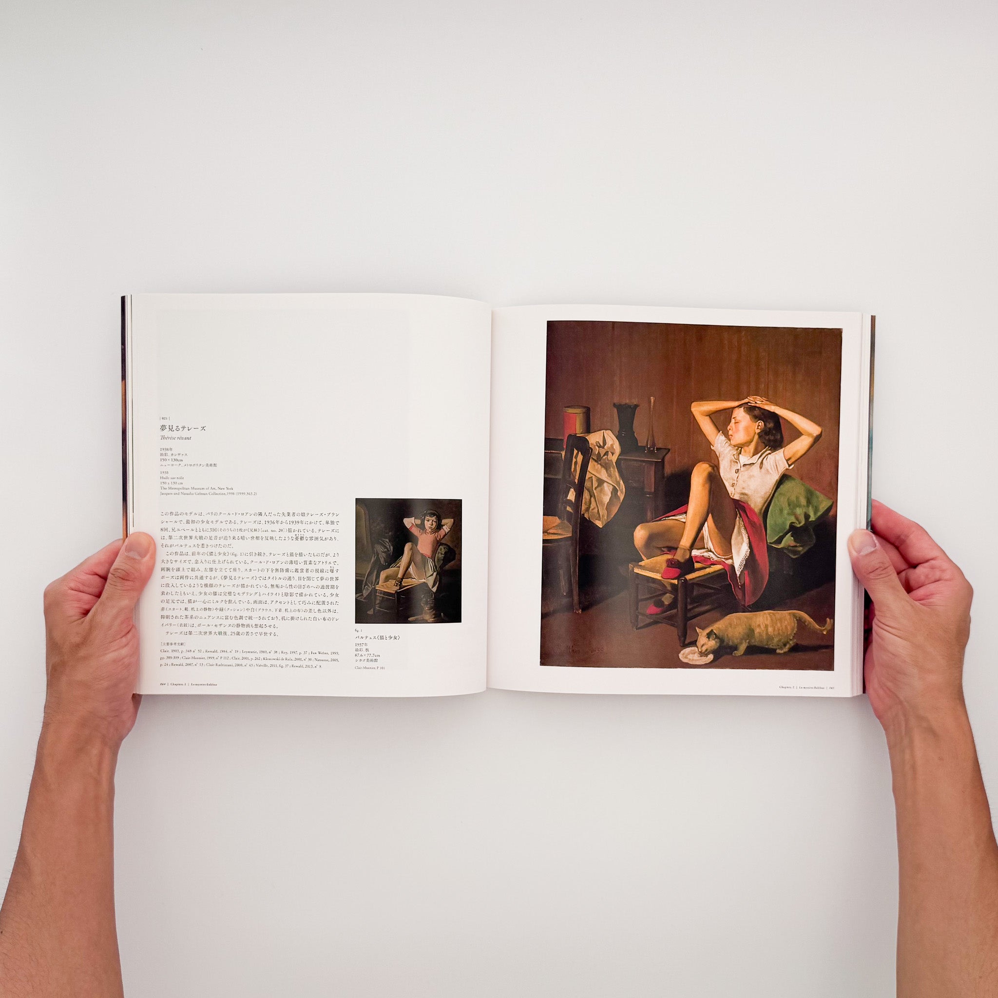 バルテュス展 Balthus: A Retrospective｜東京都美術館 2014 図録 - 文
