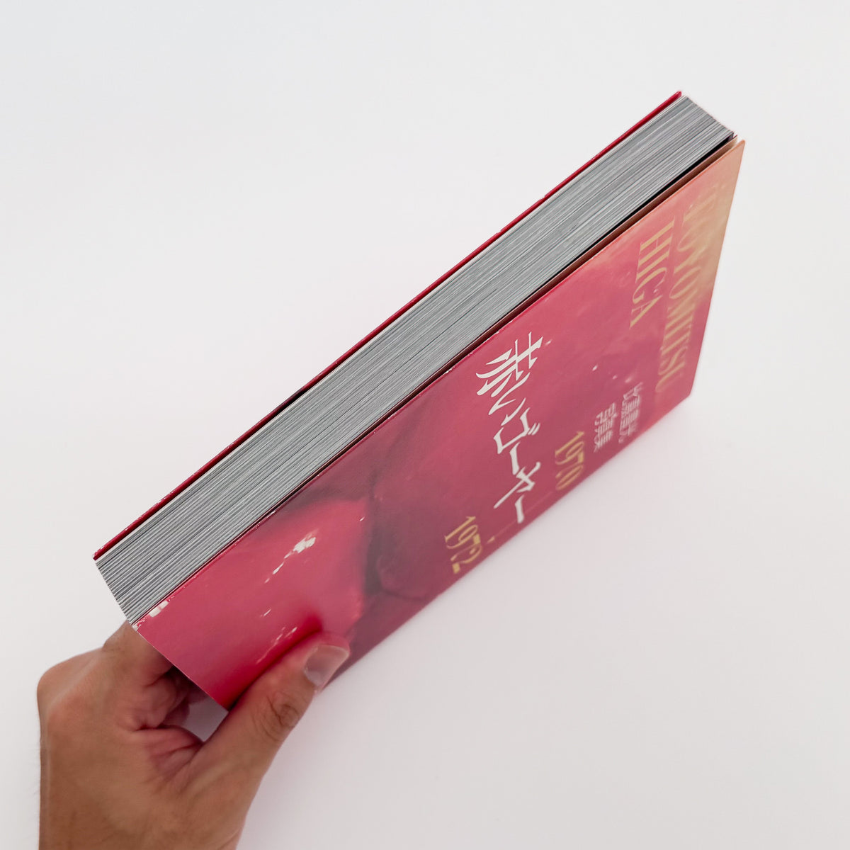 比嘉豊光『赤いゴーヤー』。1970〜1972年、沖縄復帰前後の風景を移動するバスや車から撮影した初期作品をまとめた2004年刊の写真集。