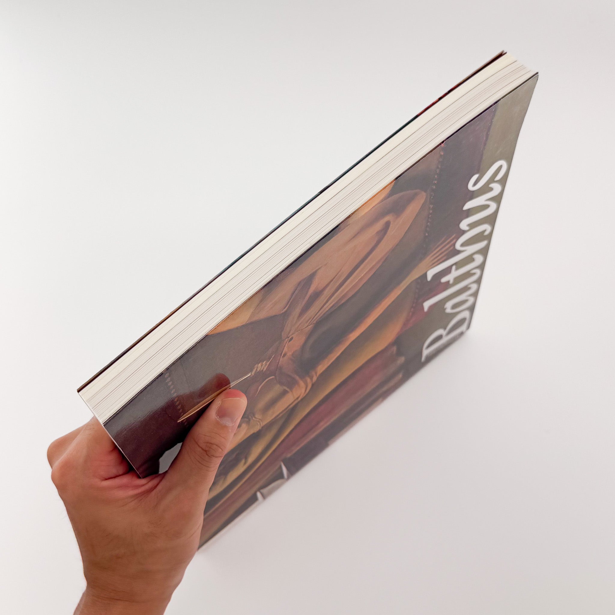 バルテュス展 Balthus: A Retrospective｜東京都美術館 2014 図録 - 文