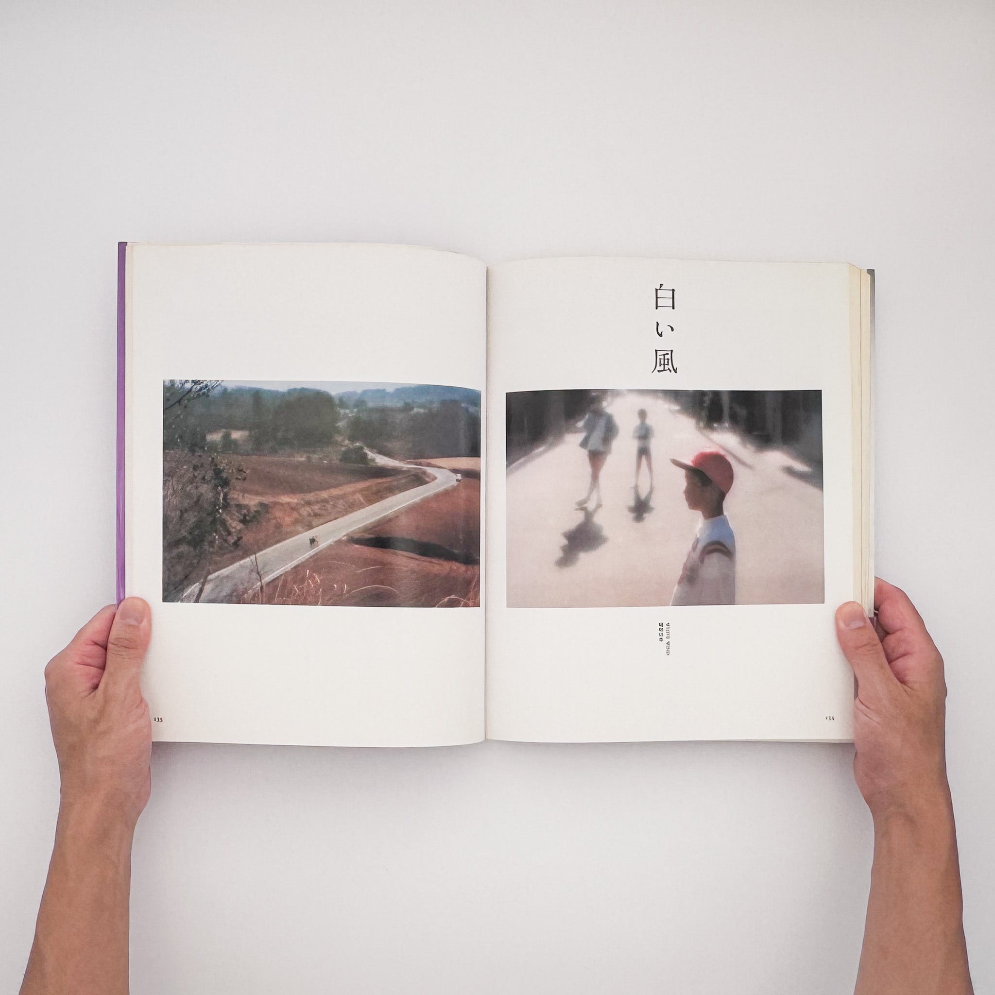 植田正治 : 昭和写真・全仕事 SERIES 10｜砂丘・童暦・日本写真 1983