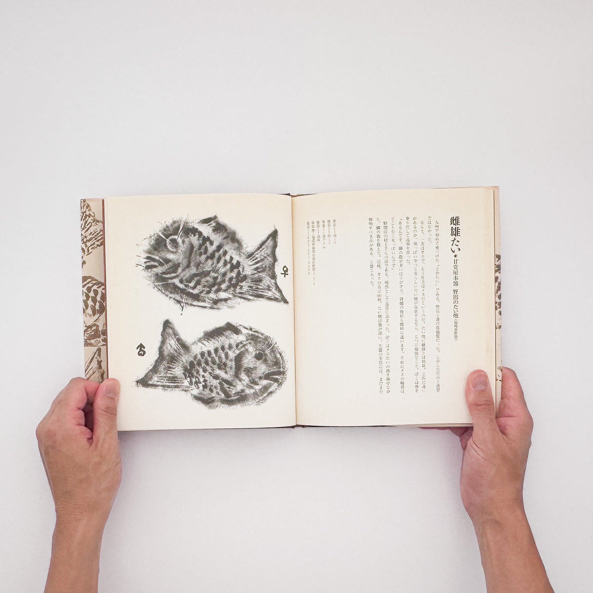 宮嶋康彦『たい焼の魚拓　絶滅寸前『天然物』たい焼37種』。一匹焼きのたい焼37種を魚拓として採取・記録した、2002年JTB刊の作品集。