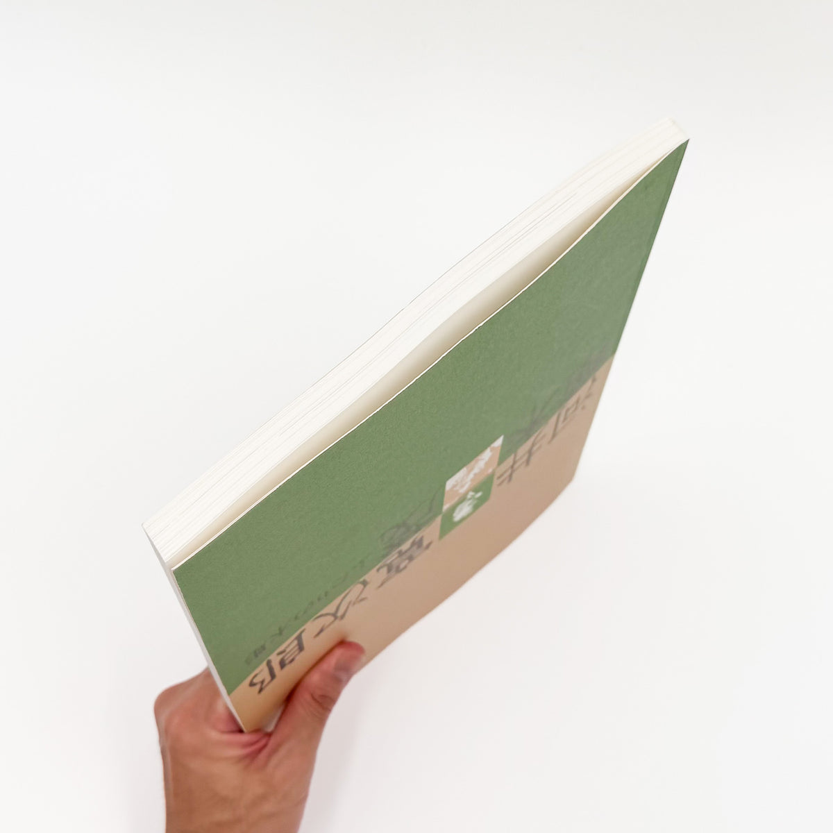 河井寛次郎・植木茂『ふたりの木彫』。二人の木彫作品と家具、円空仏・木喰仏などを収録した2001年千葉市美術館展覧会図録。